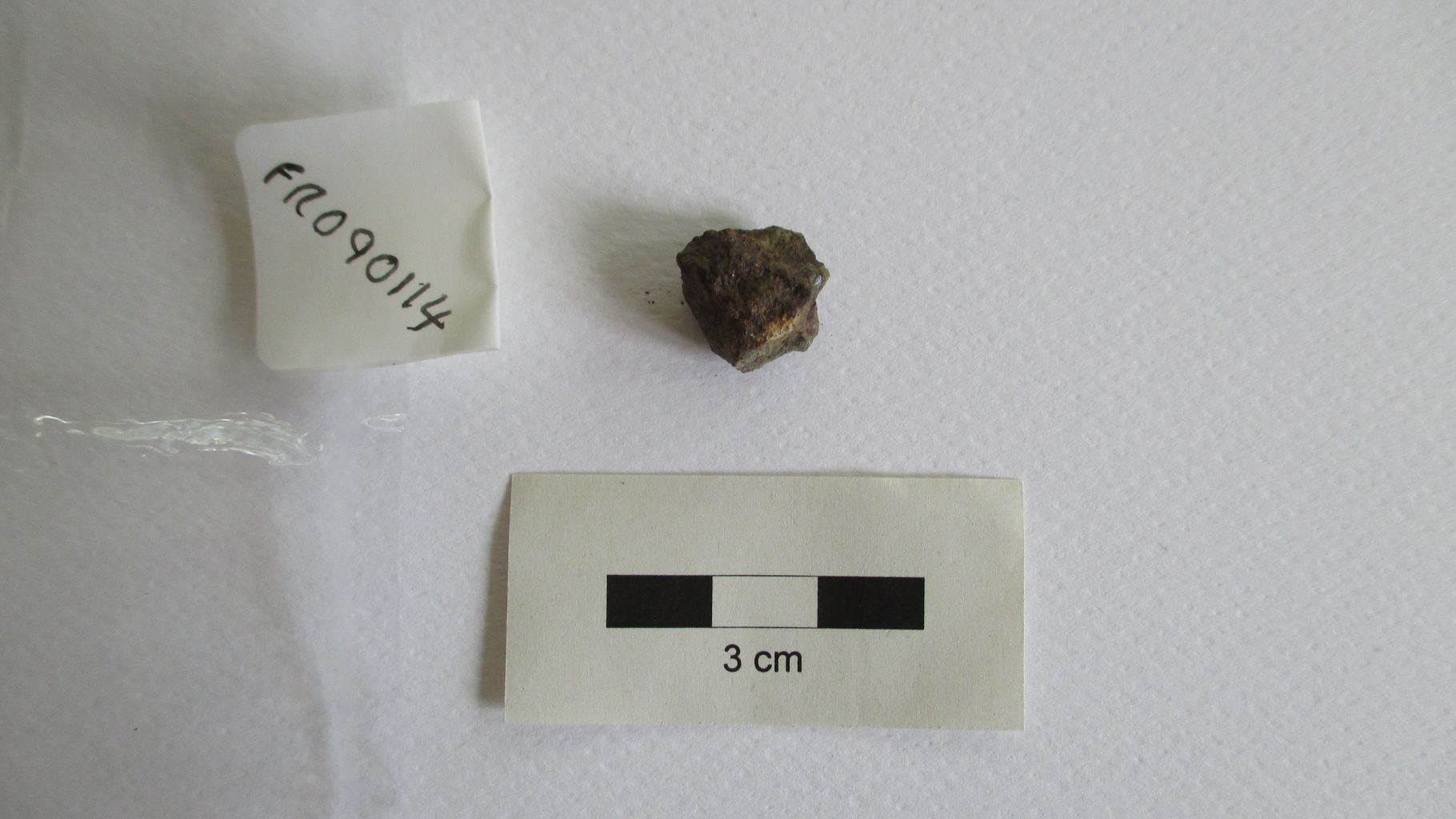 Condrite ordinaria (esemplare)