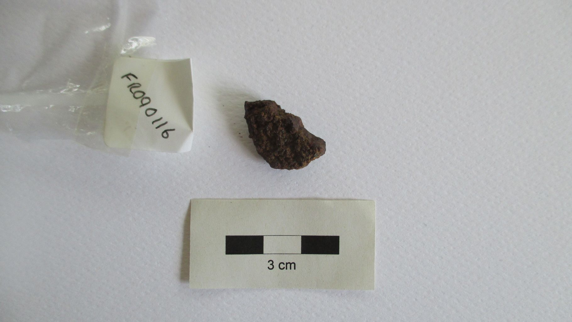 Condrite ordinaria (esemplare)