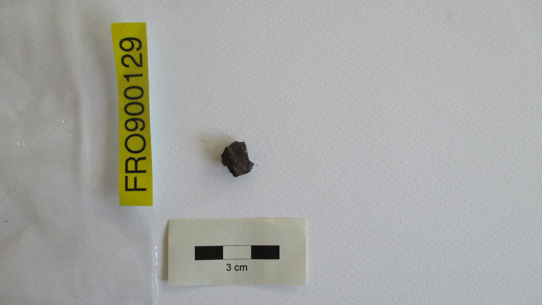 Condrite ordinaria (esemplare)