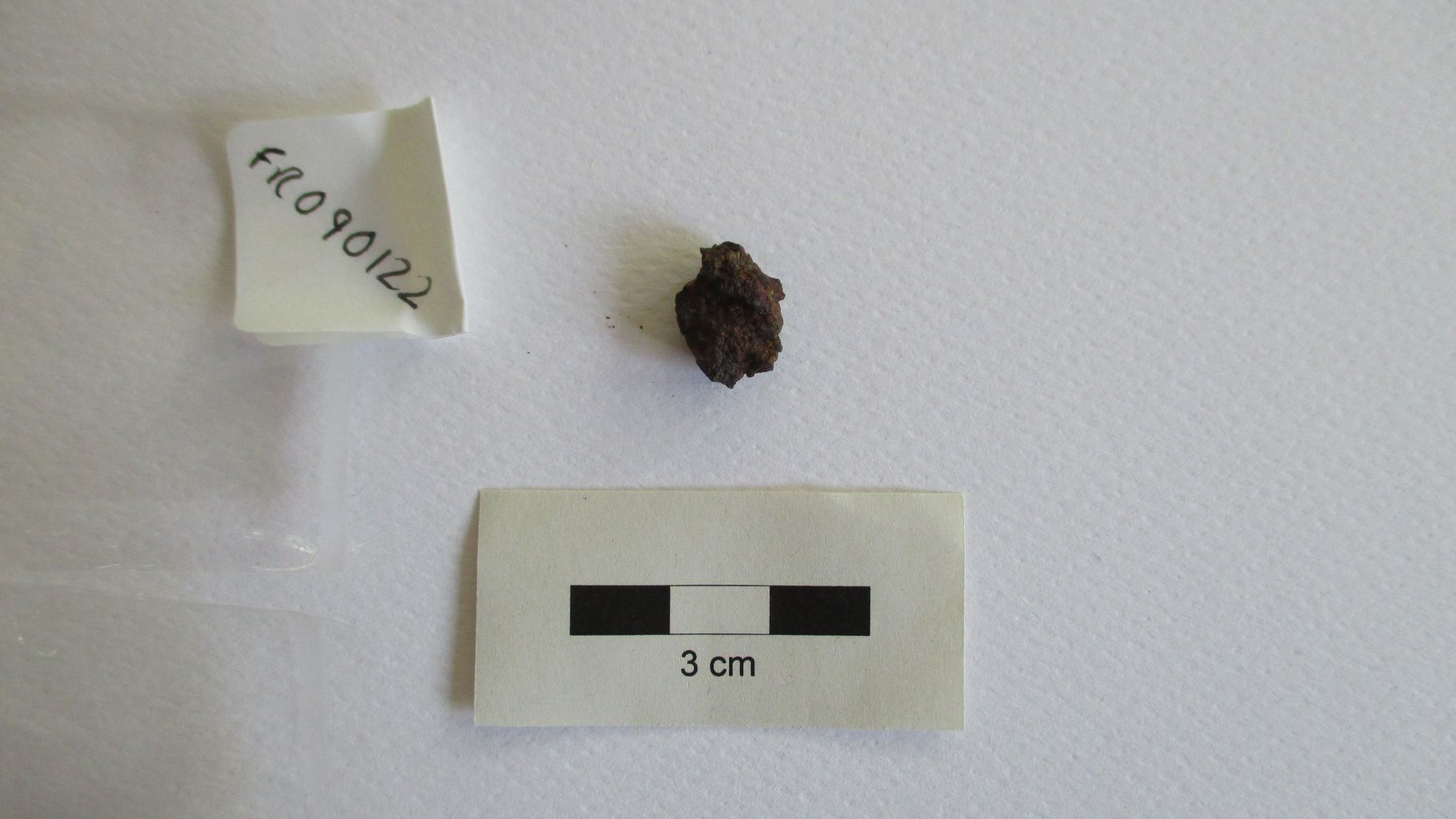 Condrite ordinaria (esemplare)