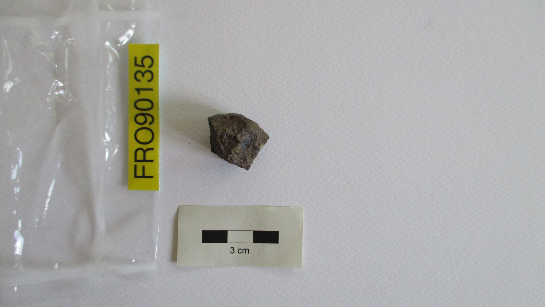 Condrite ordinaria (esemplare)