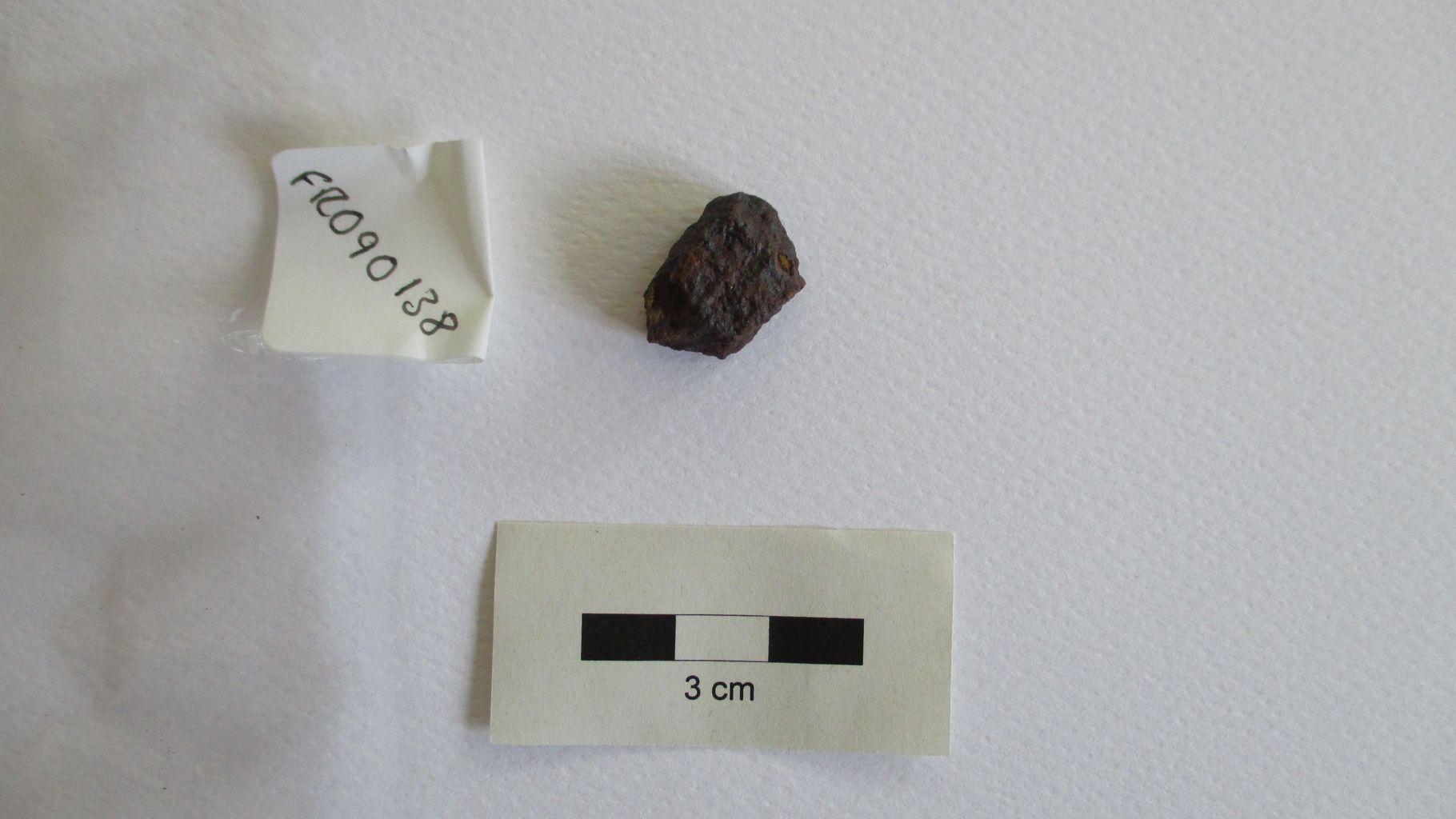 Condrite ordinaria (esemplare)