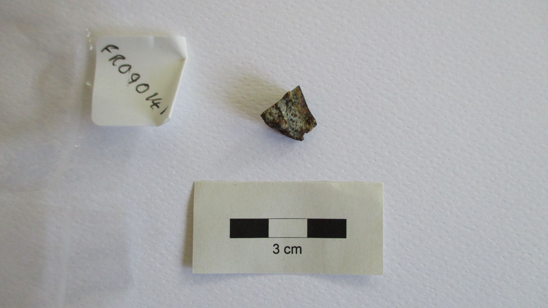 Condrite ordinaria (esemplare)