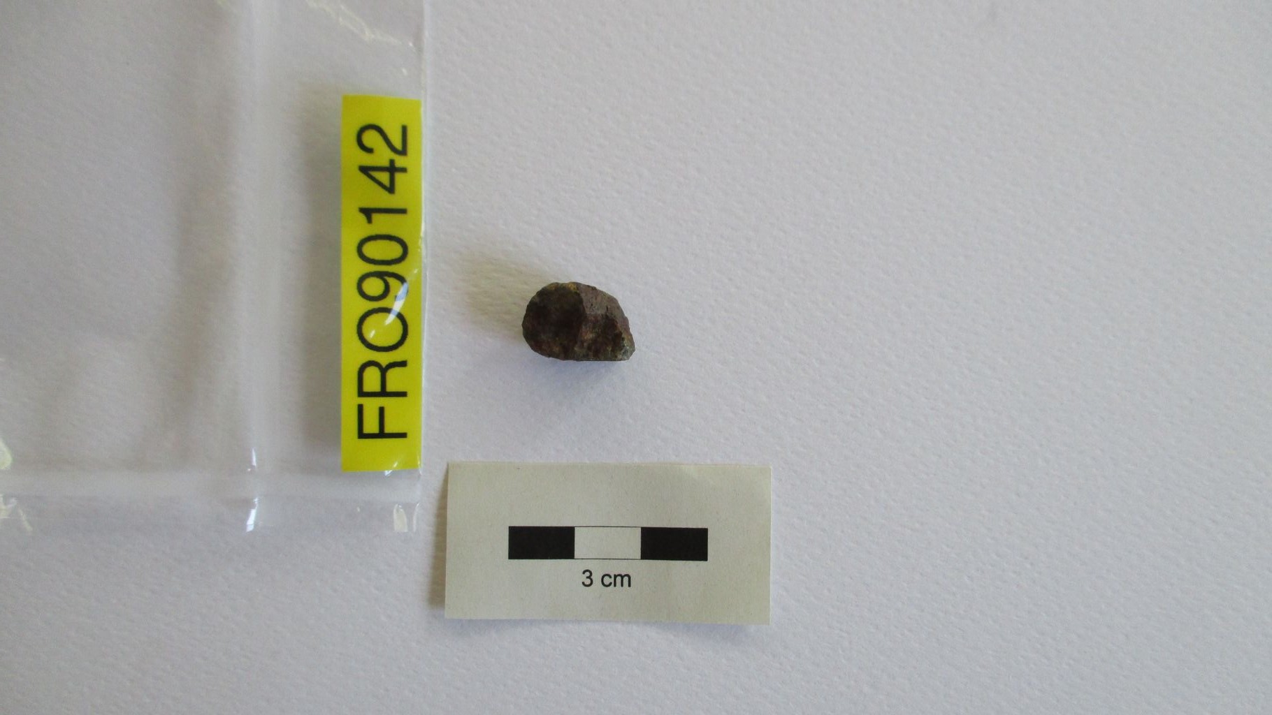 Condrite ordinaria (esemplare)