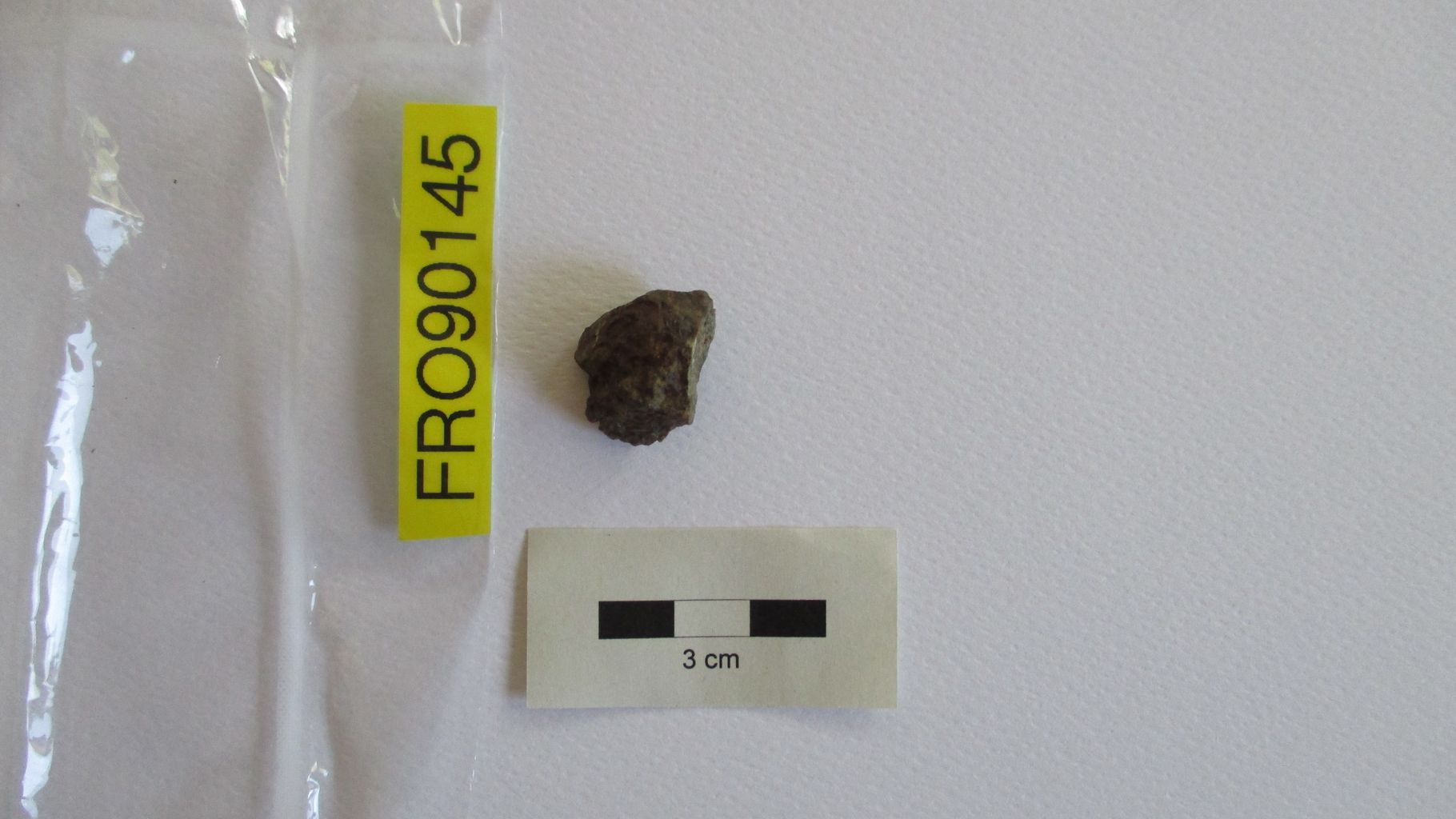 Condrite ordinaria (esemplare)