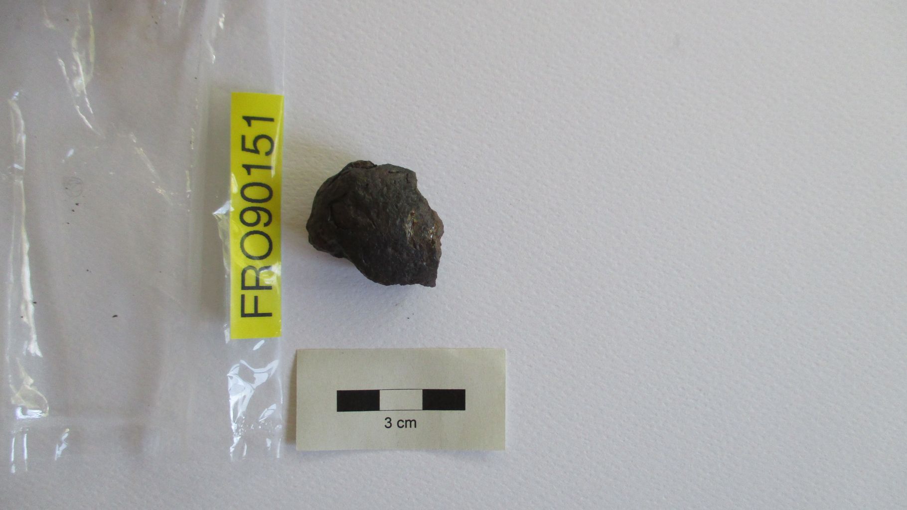 Condrite ordinaria (esemplare)