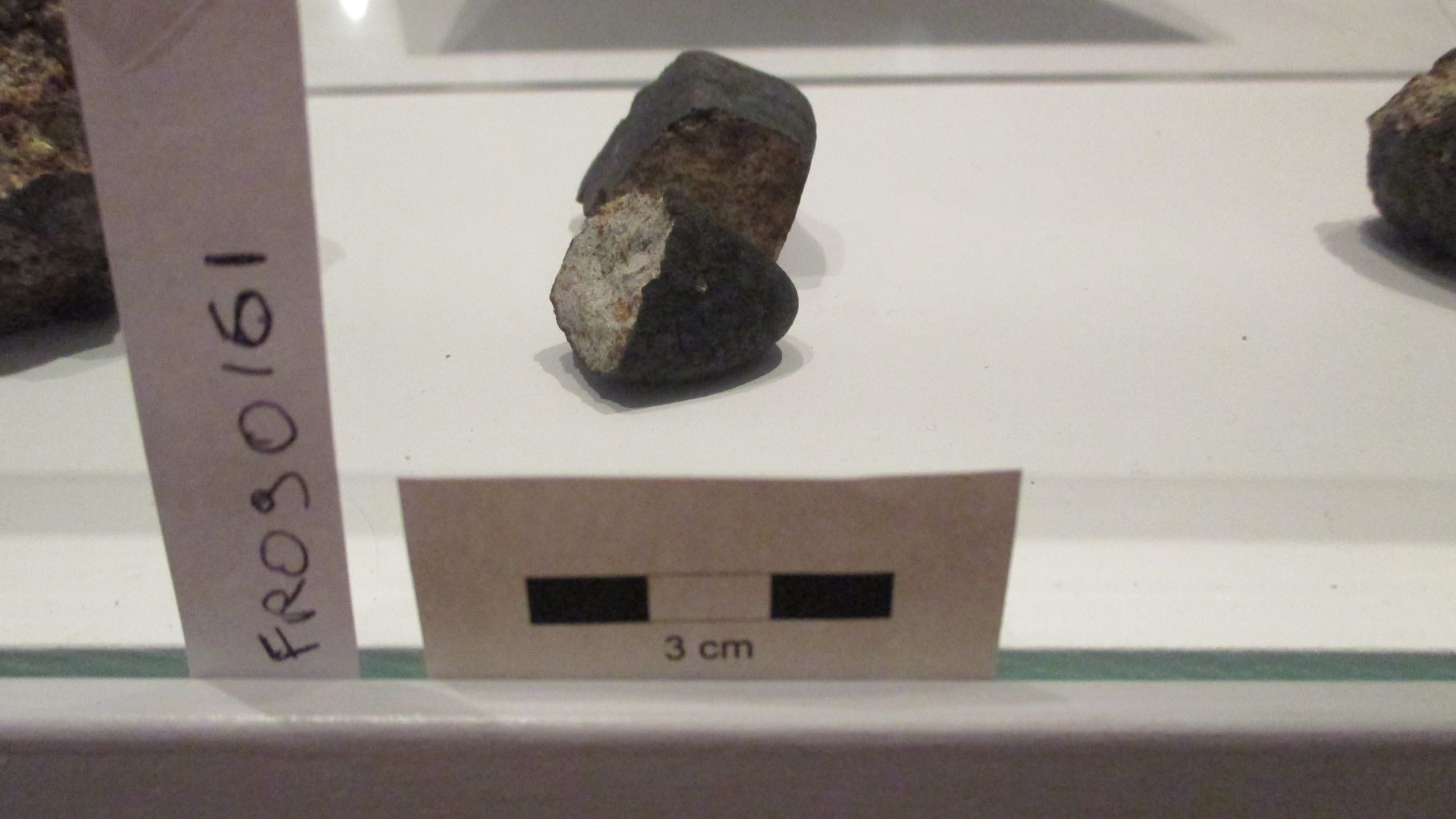 Condrite ordinaria (esemplare)