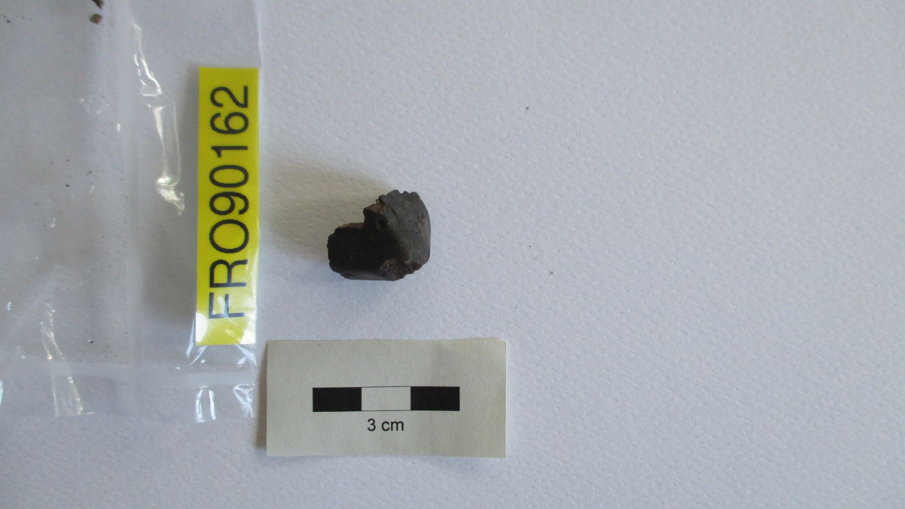 Condrite ordinaria (esemplare)