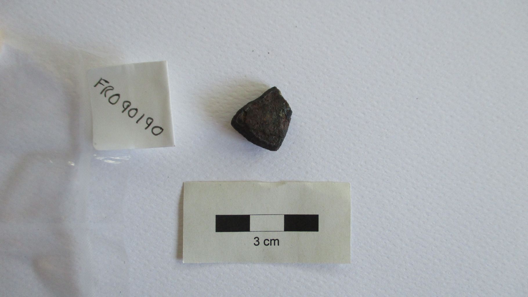 Condrite ordinaria (esemplare)