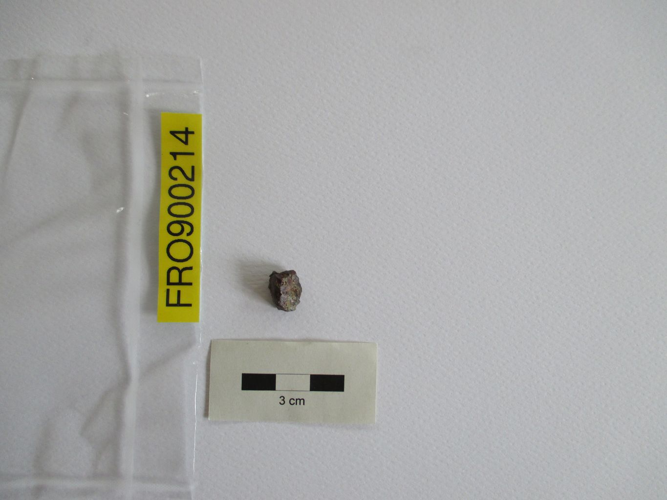 Condrite ordinaria (esemplare)