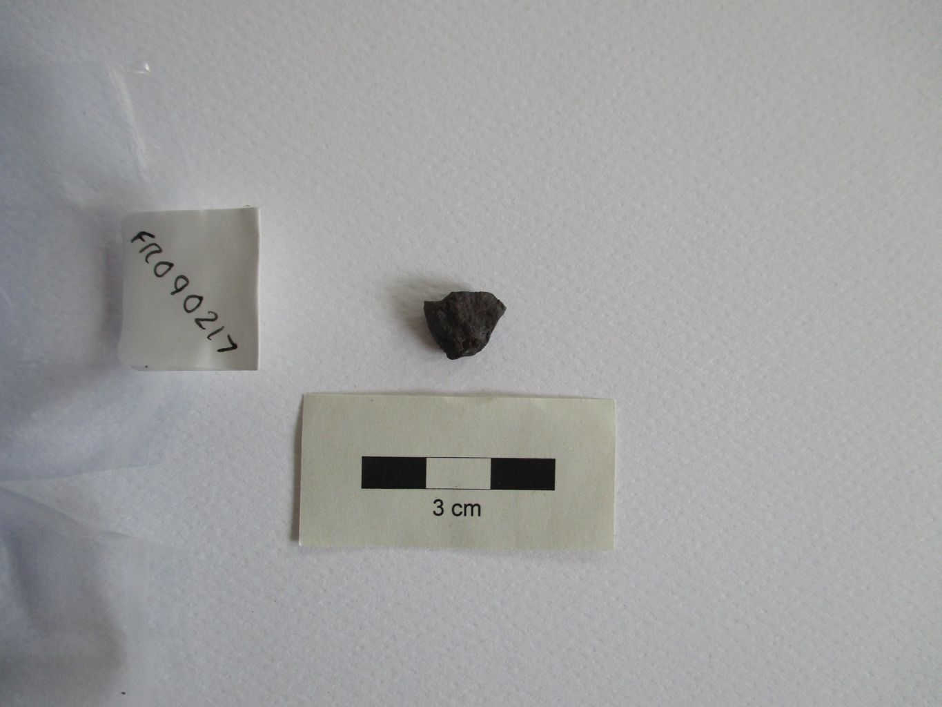 Condrite ordinaria (esemplare)