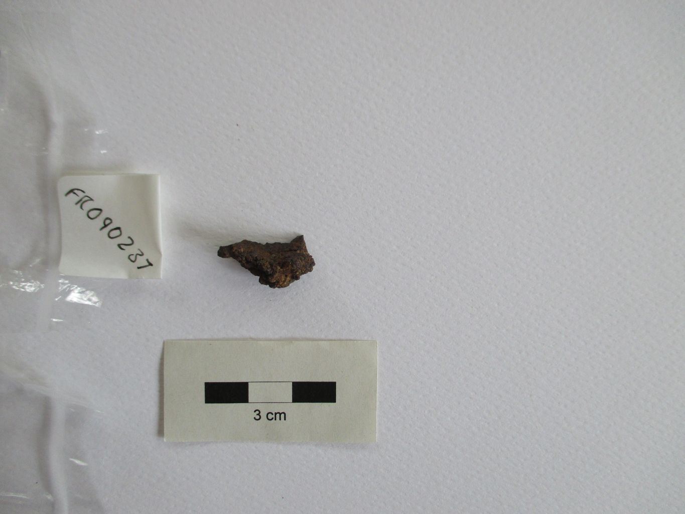 Condrite ordinaria (esemplare)