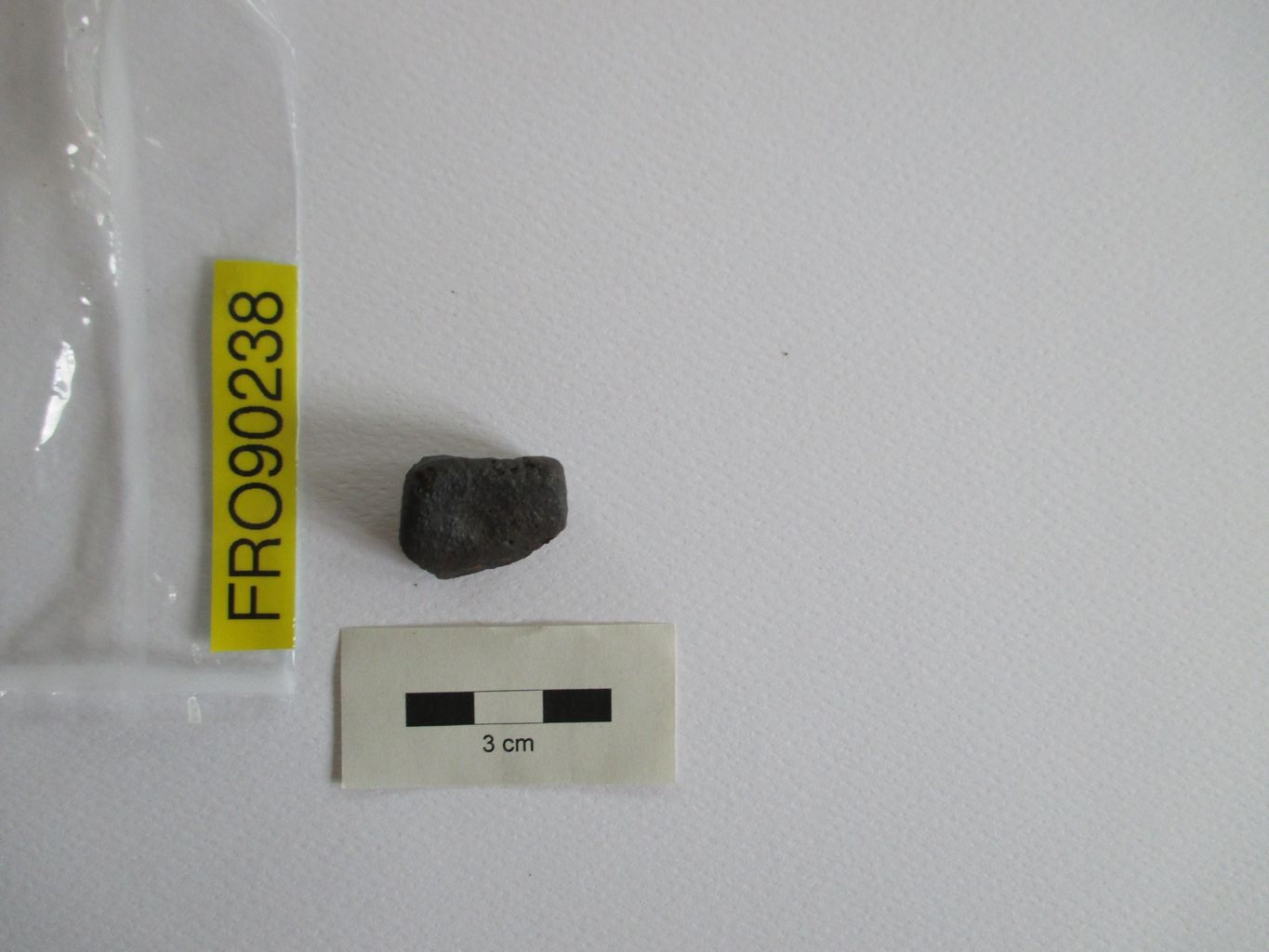 Condrite ordinaria (esemplare)