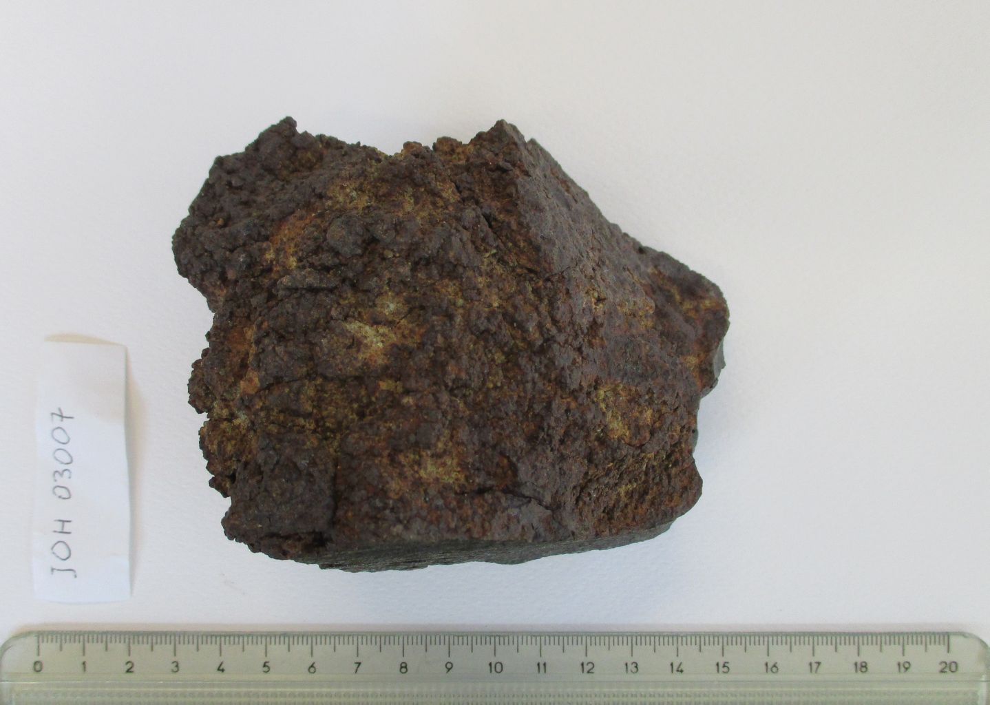 Condrite ordinaria (esemplare)