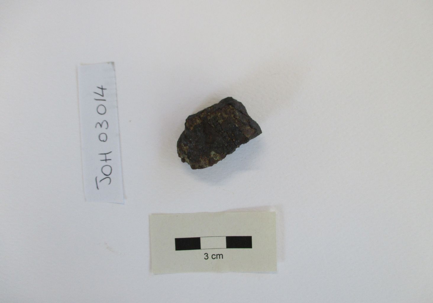 Condrite ordinaria (esemplare)