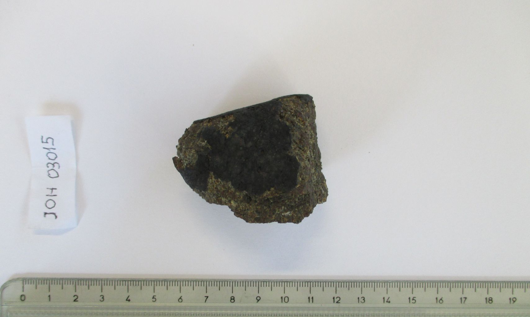 Condrite ordinaria (esemplare)