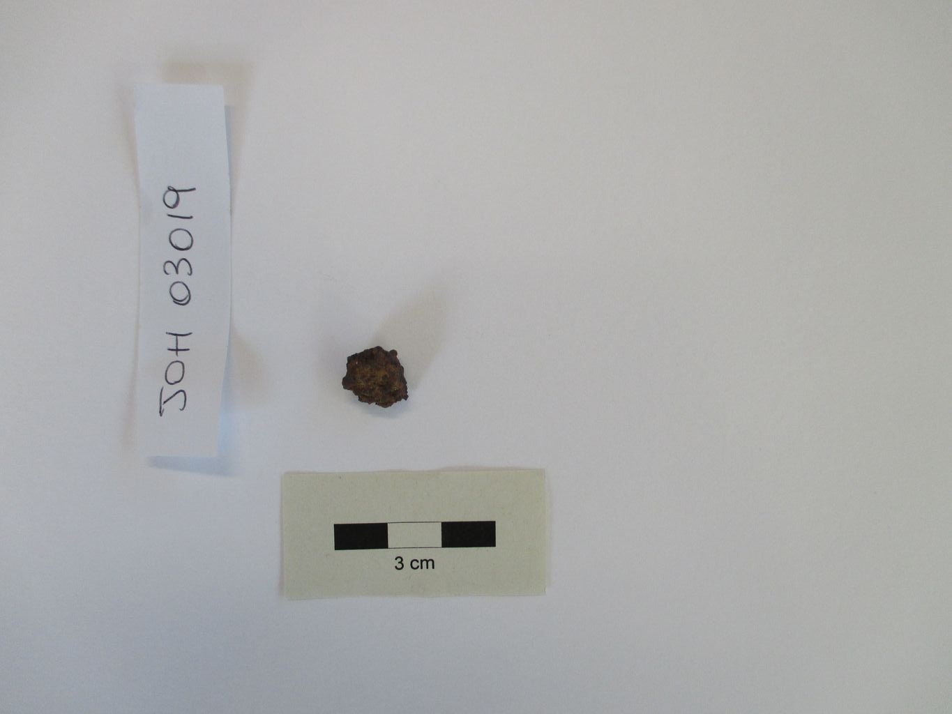 Condrite ordinaria (esemplare)