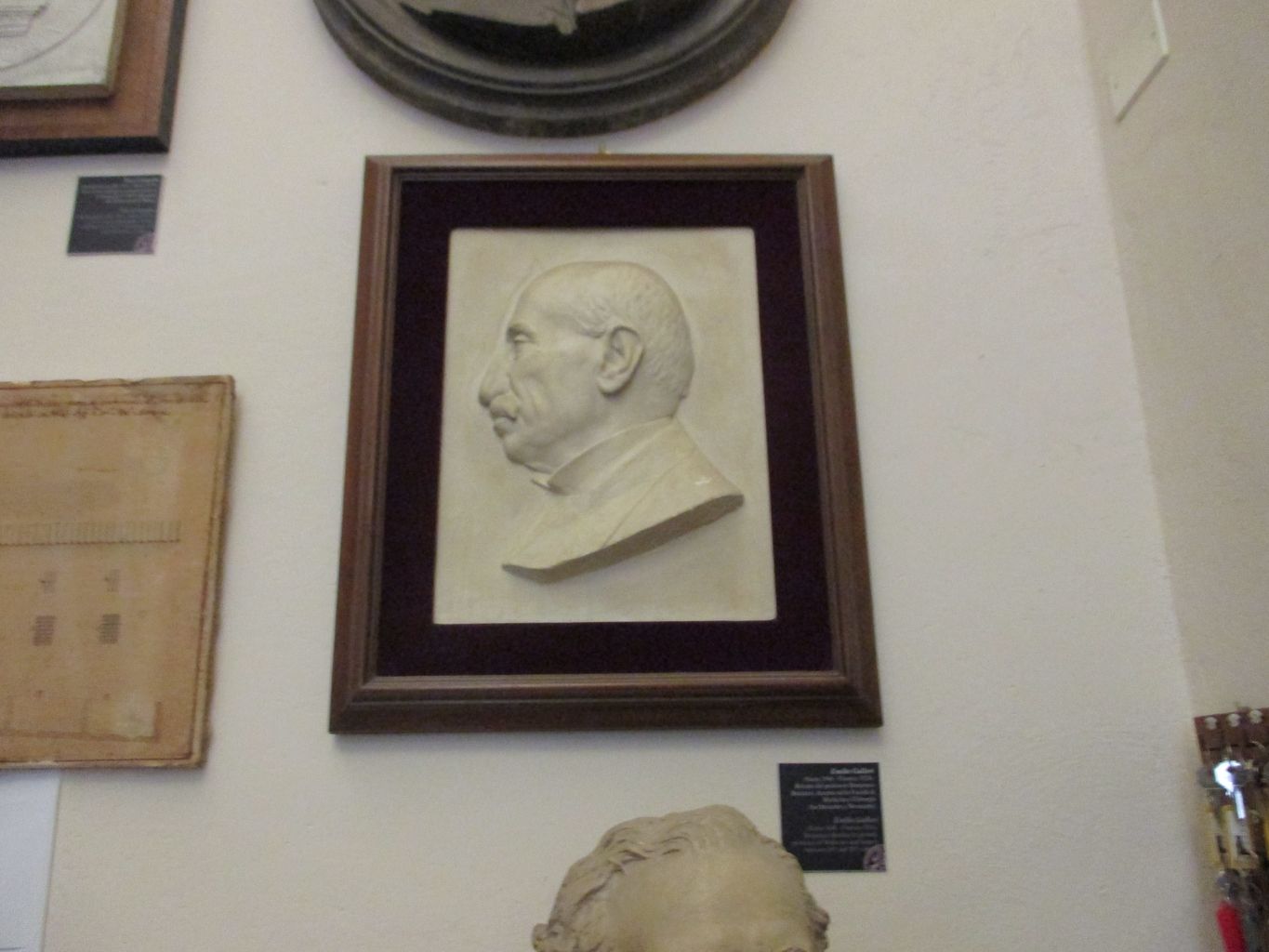 ritratto del professore Domenico Barduzzi (rilievo) di Emilio Gallori (attribuito) (sec. XX)