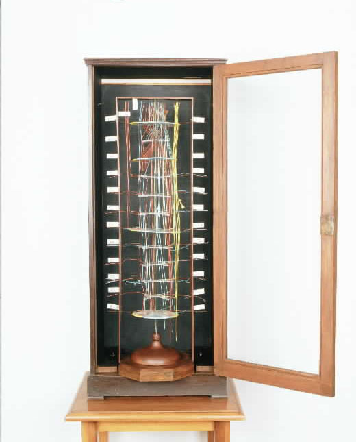 modello, schematico della struttura del midollo spinale di Lachi Pilade (sec. XIX)