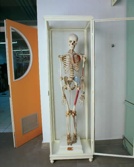 vetrina - bottega senese (sec. XIX)