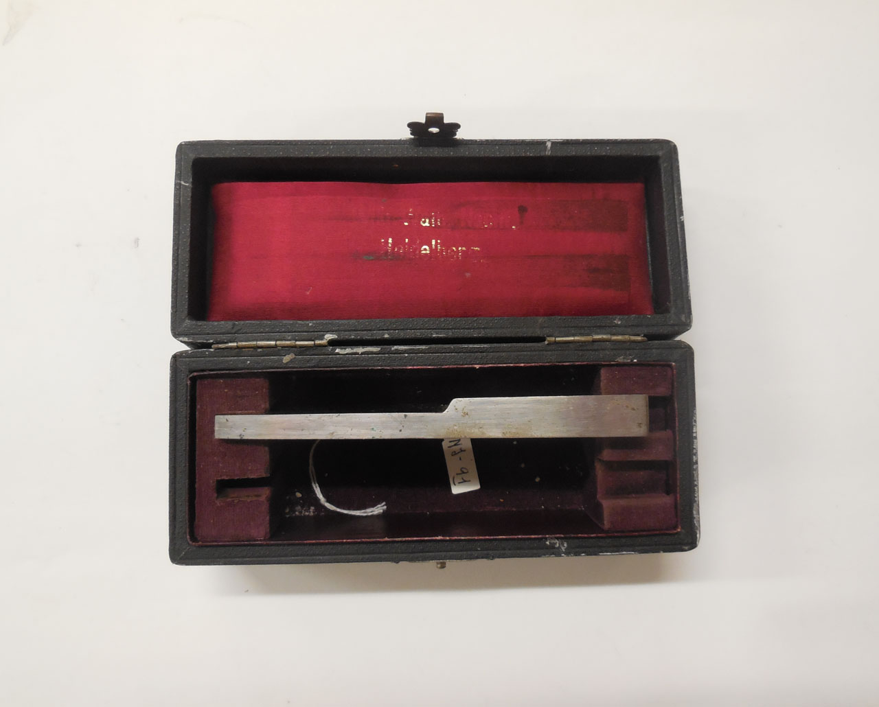 lama, per microtomo (inizio sec. XX)