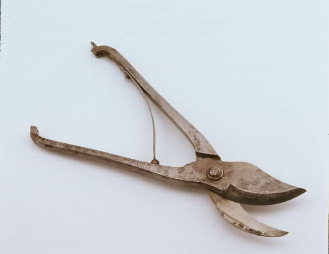 cesoia, per ossa (fine sec. XIX)