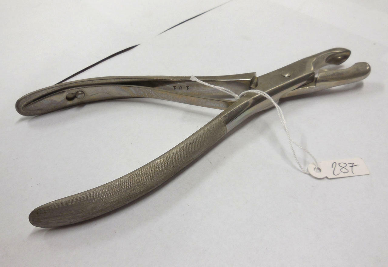 pinza, sgorbia di Luer di ,  (sec. XX)