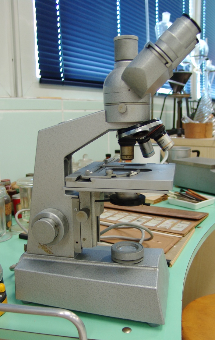 microscopio, binoculare di ,  (sec. XX)