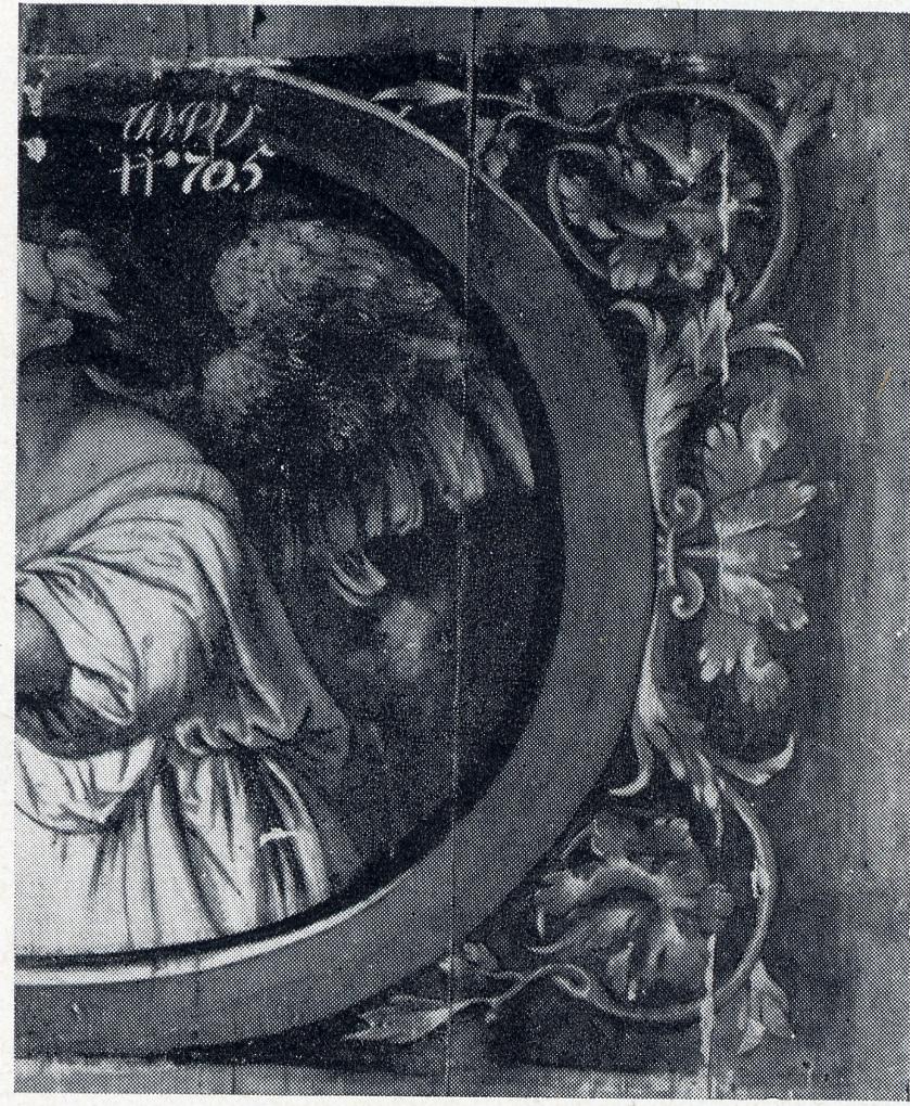 motivi decorativi a tralci di vite, motivi decorativi a tralci di vite (dipinto, opera isolata) di Campagnola Domenico (sec. XVI)