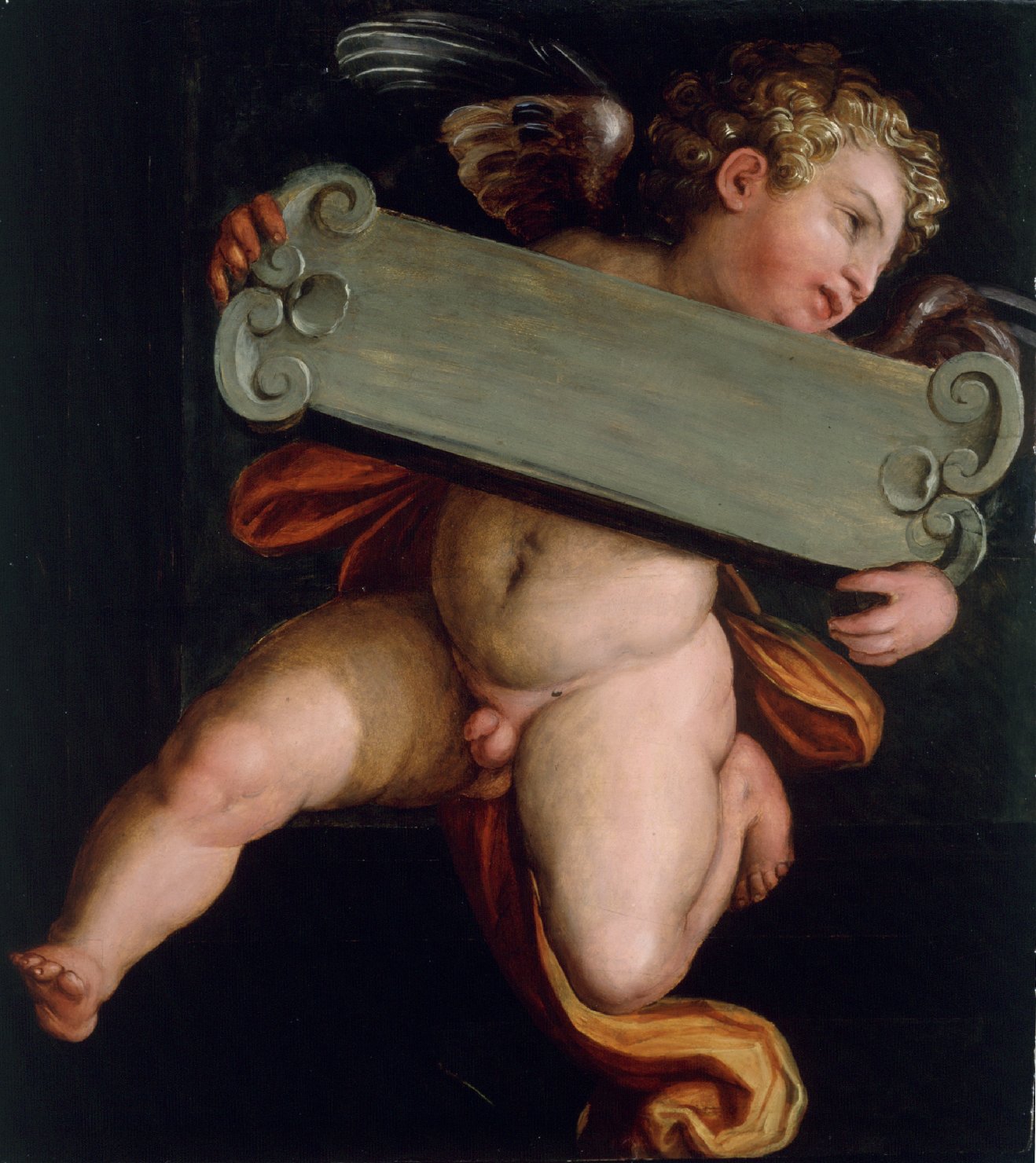putto, putto (dipinto, opera isolata) di Vasari Giorgio (sec. XVI)