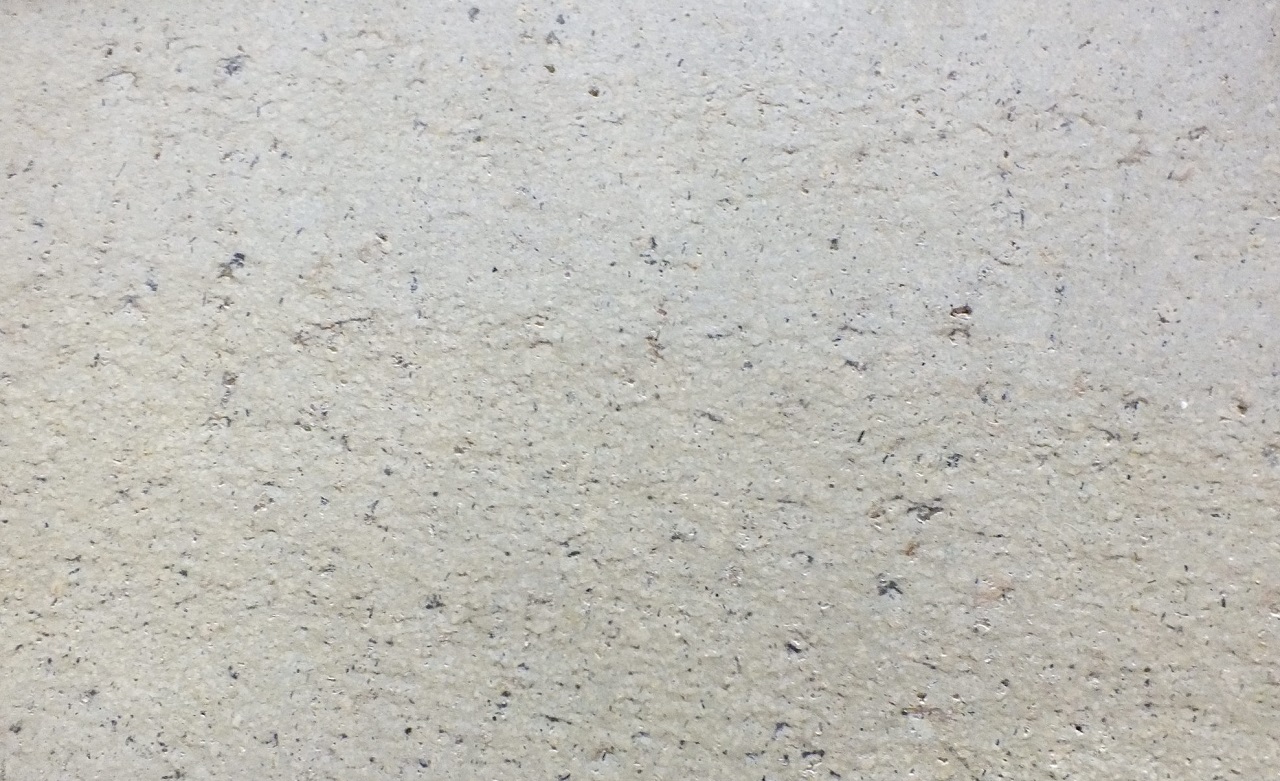 Trachite di Padova (collezione)