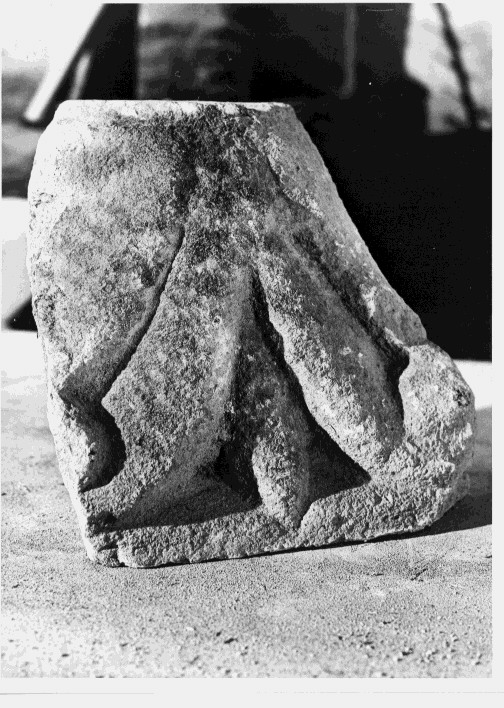 capitello, frammento - bottega Italia meridionale (sec. XII, sec. XIII)