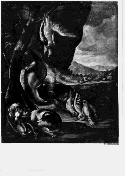 natura morta con cacciagione (dipinto) - ambito Italia settentrionale (seconda metà sec. XVII)