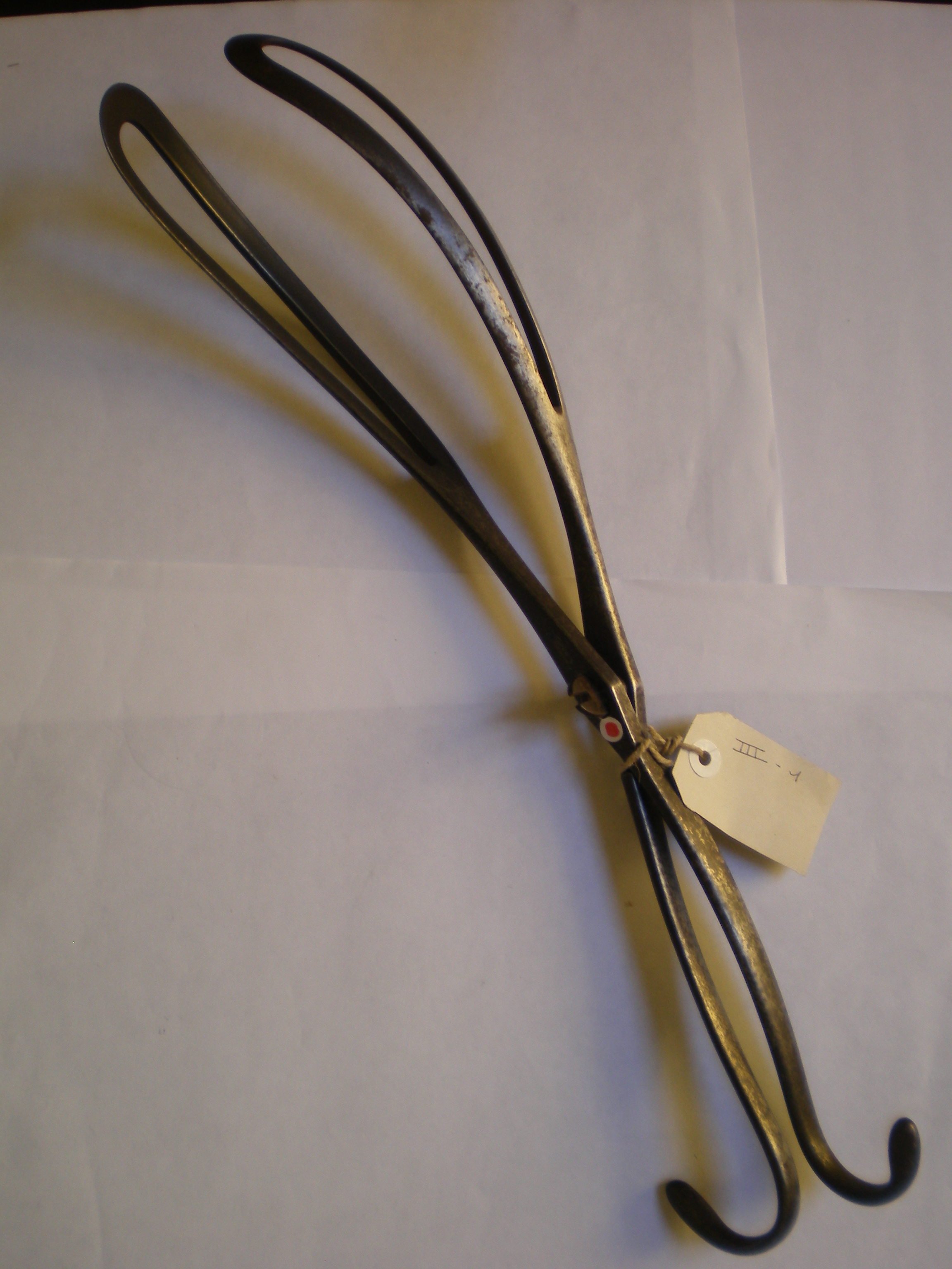 forcipe, di Palfijn di Palfijn, Jan (attribuito) (prima metà sec. XVIII)