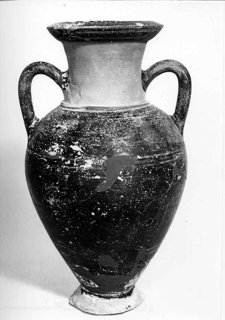 anfora - fabbrica attica (metà sec. VI a.C)