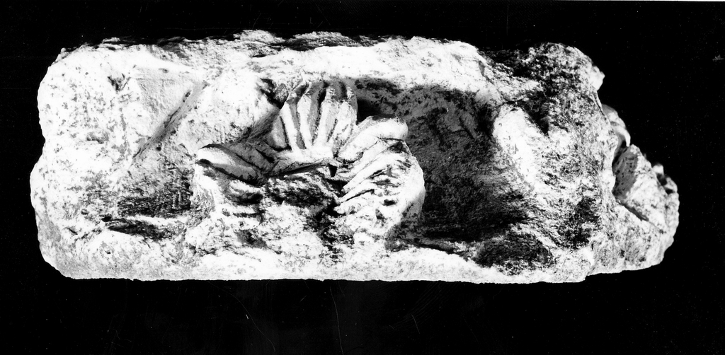 capitello di lesena - produzione tarantina (fine/ inizio secc. IV a.C. - III a.C)