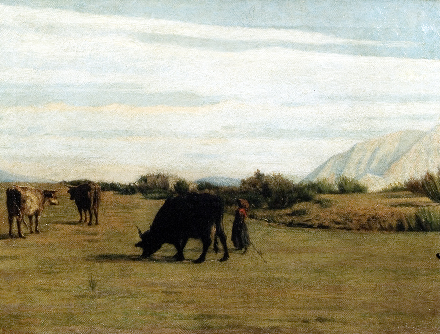 Pascolo, paesaggio (dipinto, opera isolata) di Sernesi Raffaello (XIX)