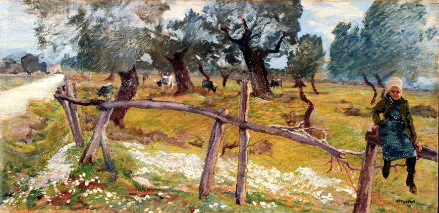 Oliveto con contadinella e bufali, paesaggio (dipinto, opera isolata) di Puccini Mario (XX)