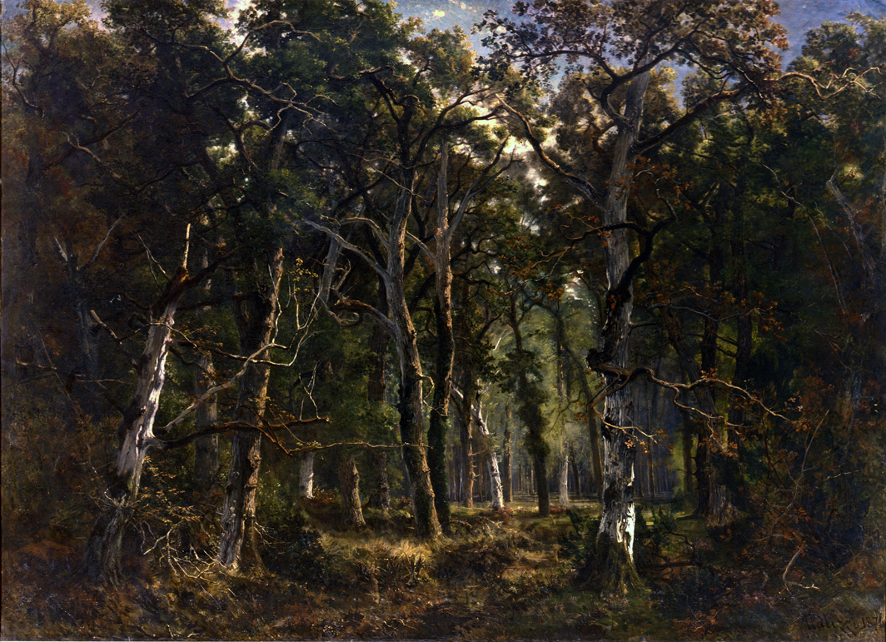 Bosco di Fontainebleau, paesaggio (dipinto, opera isolata) di Palizzi Giuseppe (XIX)
