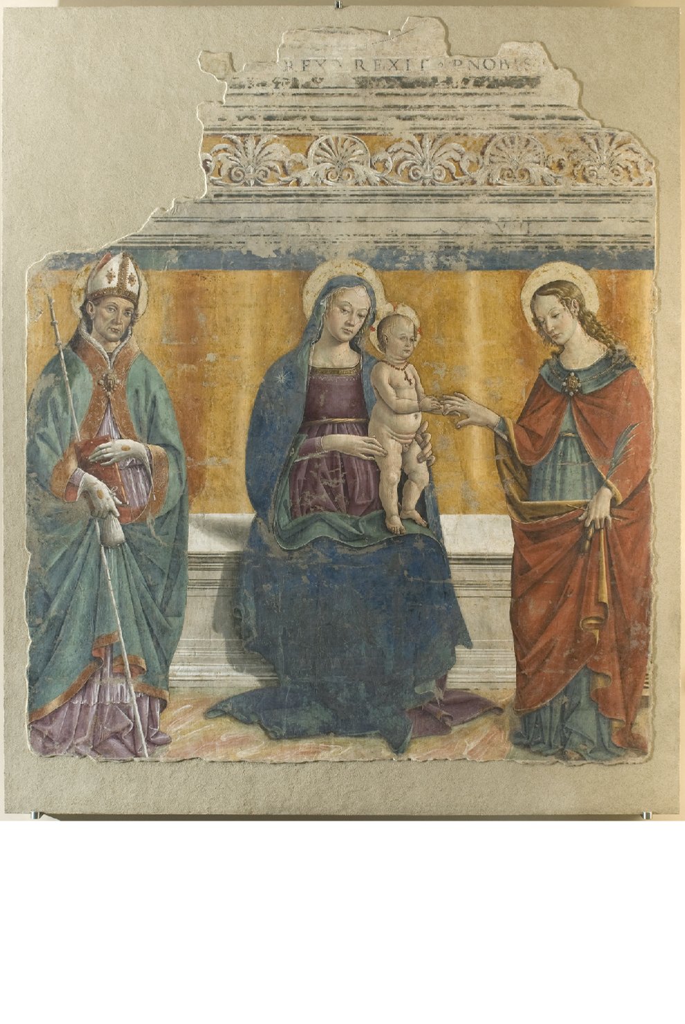matrimonio mistico di Santa Caterina d'Alessandria (dipinto, frammento) di Fiorenzo di Lorenzo (attribuito) (seconda metà sec. XV)
