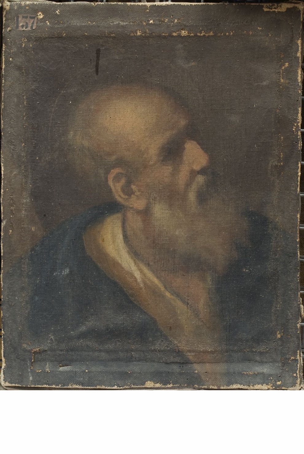 Sant'Andrea (dipinto, opera isolata) di Montanini Pietro (attribuito) (metà sec. XVII)
