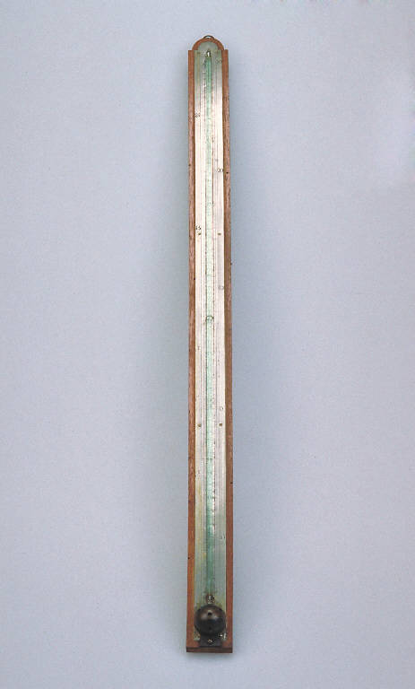 Termometro, a mercurio (sec. XIX)