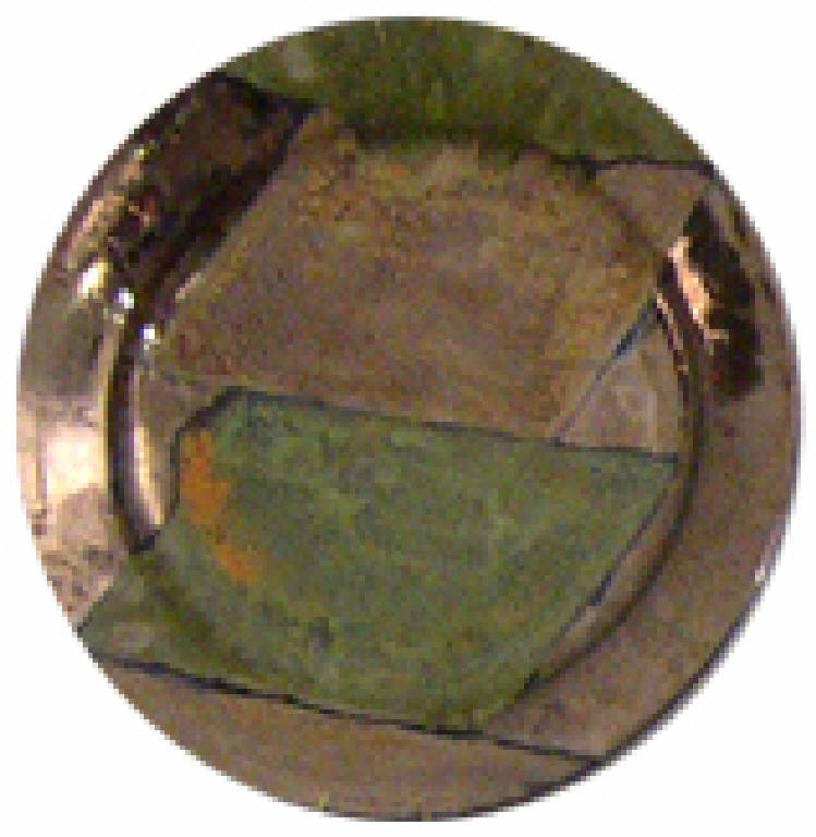 piatto di Boschi Di Stefano Marieda (sec. XX)