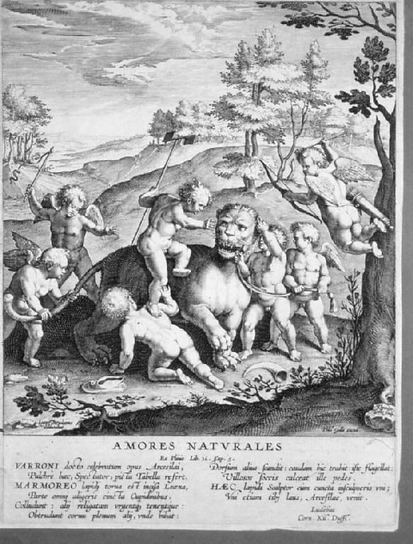 Amorini che combattono con una leonessa (stampa) di Galle Theodor, Straet Jan van der (prima metà sec. XVII)