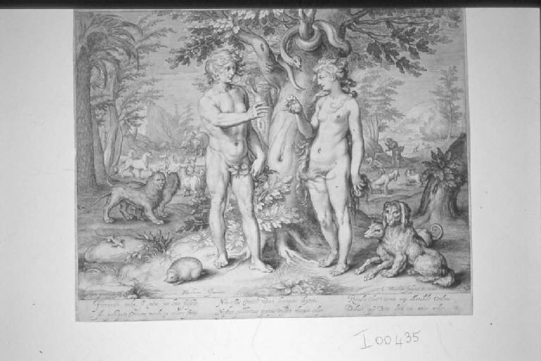 Adamo ed Eva nel Paradiso terrestre (stampa smarginata) di Matham Jacob, Goltzius Hendrick (sec. XVII)
