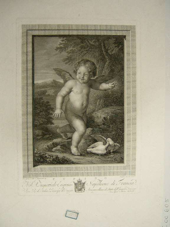 Putto con colombe (stampa) di Gaiani Antonio, Gaiani Antonio, Zampieri Domenico detto Domenichino (sec. XIX)
