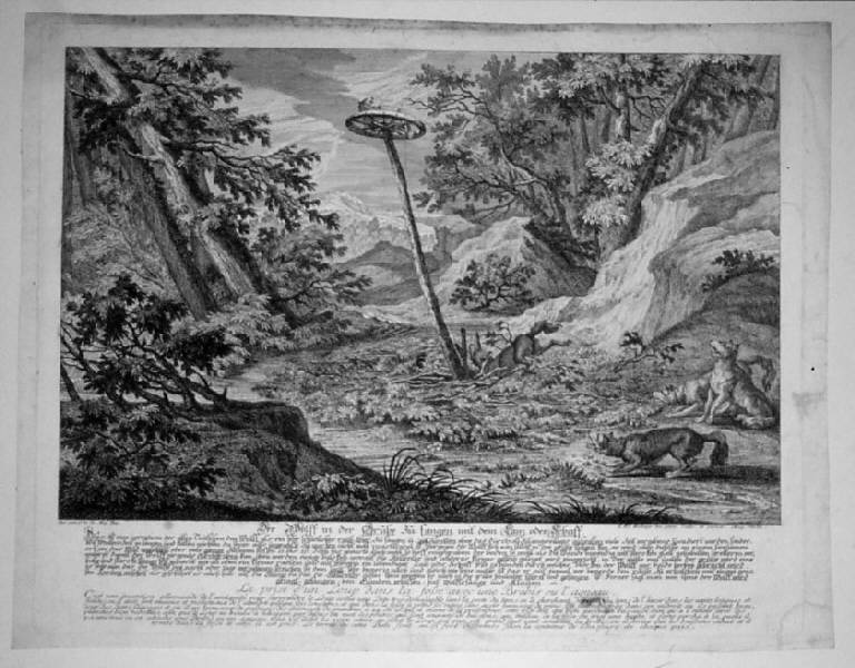 La cattura di un lupo nella fossa utilizzando una pecora o un agnello, Caccia al lupo (stampa, elemento d'insieme) di Ridinger Johann Elias, Ridinger Johann Elias (sec. XVIII)