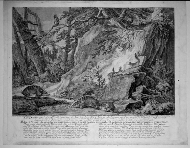 Animali nella foresta (stampa, elemento d'insieme) di Ridinger Johann Elias, Ridinger Johann Elias, Ridinger Johann Elias (sec. XVIII)