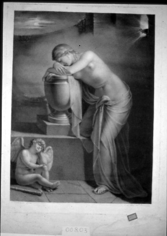 Artemisia (stampa) di Rancati Antonio, Rancati Antonio, Errante Giuseppe (sec. XIX)