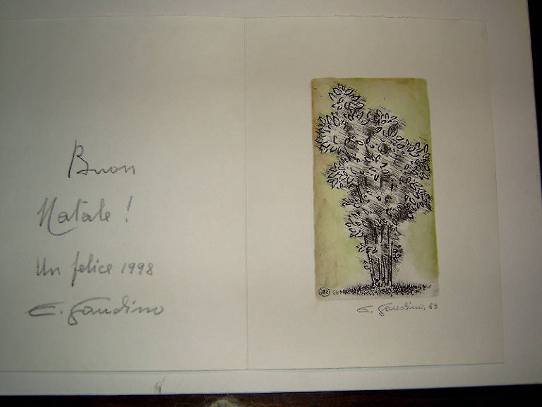 Albero (stampa colorata a mano) di Gaudino Enrico, Gaudino Enrico (ultimo quarto sec. XX)
